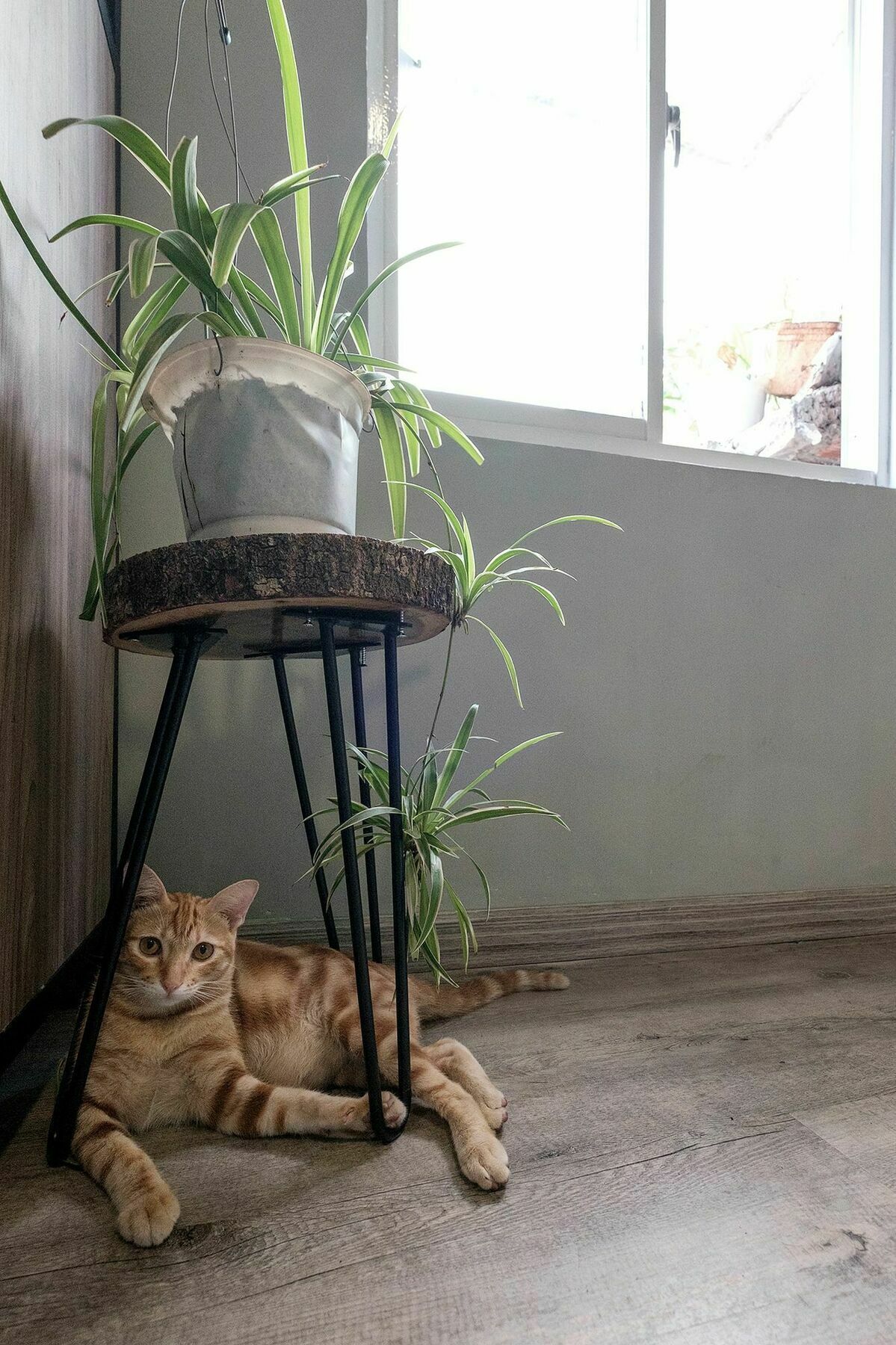 הו צ'י מין סיטי Saigon Inner Home מראה חיצוני תמונה